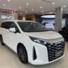 BYD M9 ADVANCED