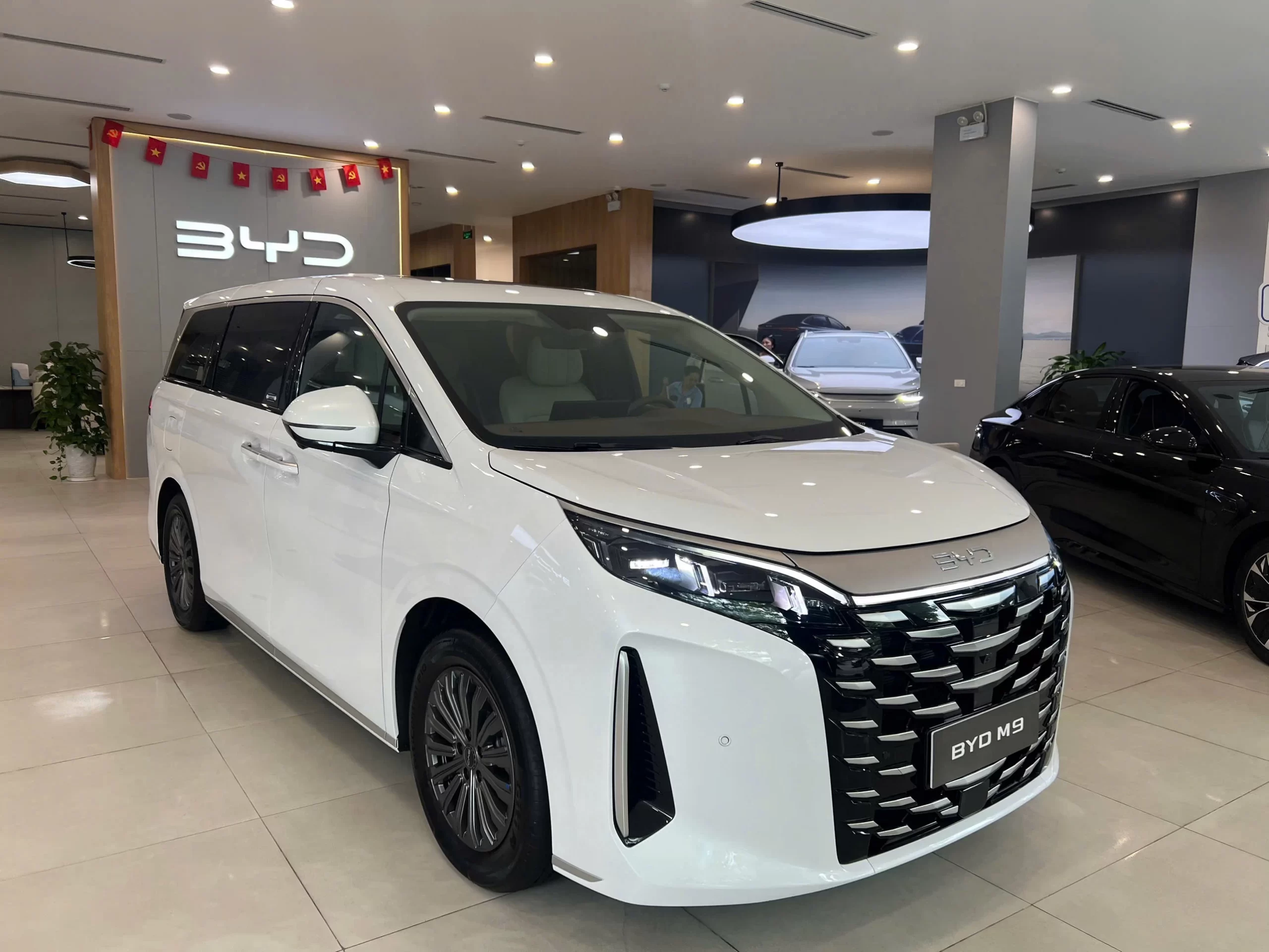 BYD M9 ADVANCED