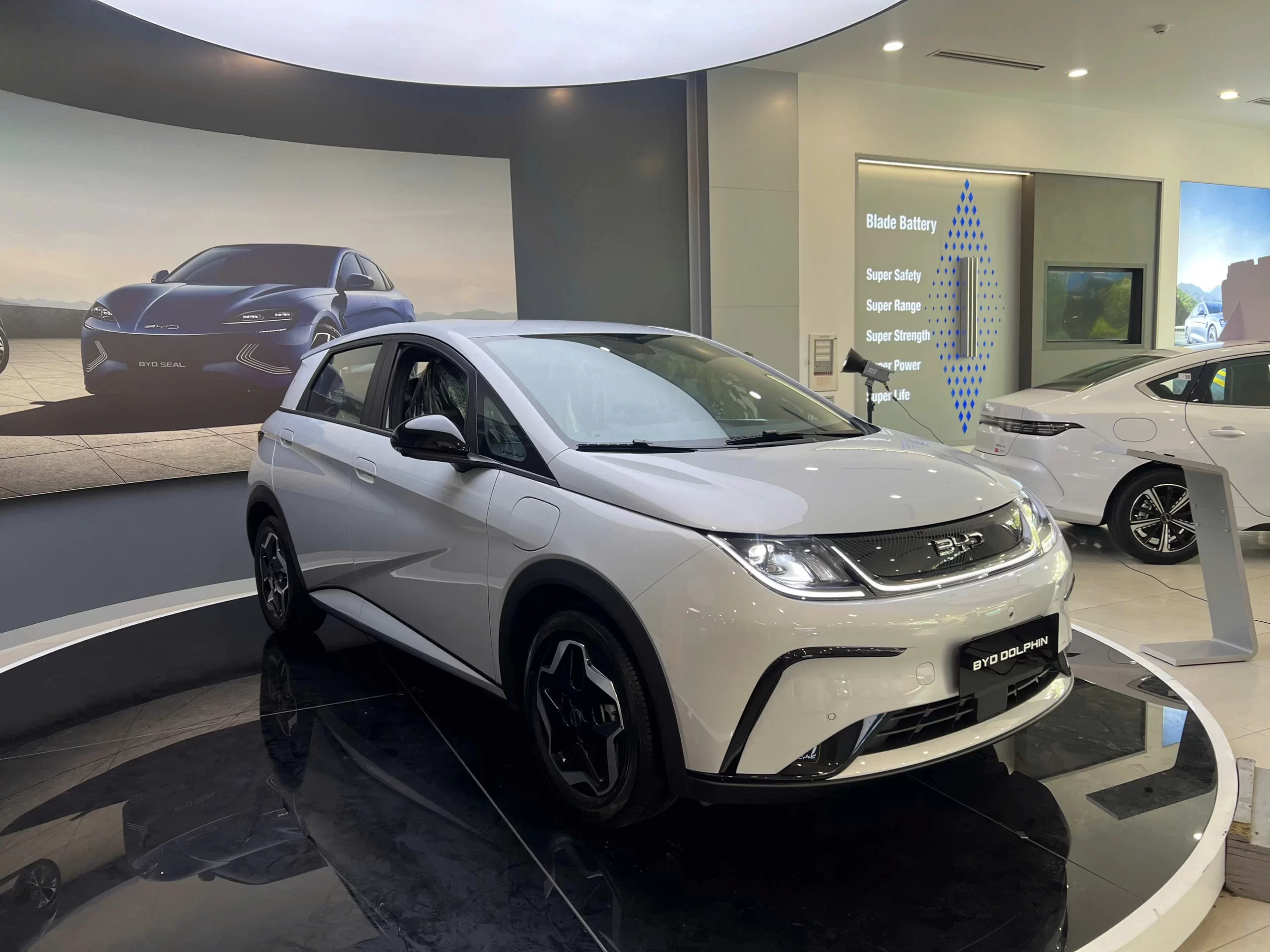 BYD DOLPHIN